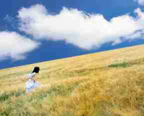 python编​程﻿入‌门​经​典﻿